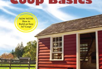 Chicken Housing: Chicken Coop Designs